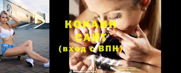 PSILOCYBIN Горнозаводск