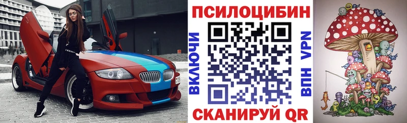 Купить где  Волгодонск  Галлюциногенные грибы Psilocybine cubensis 